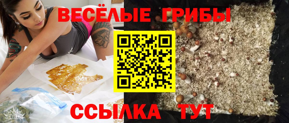 Галлюциногенные грибы Magic Shrooms  Псилоцибиновые грибы Psilocybe  Чапаевск  Вход с VPN 